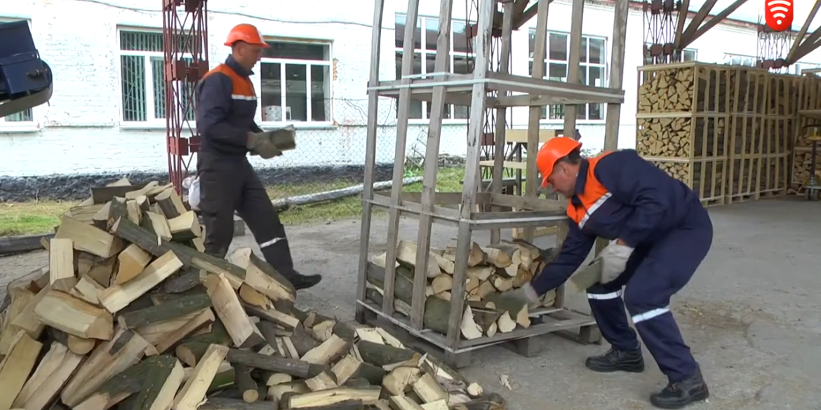 Лісівники Вінниччини заготовляють паливні дрова
