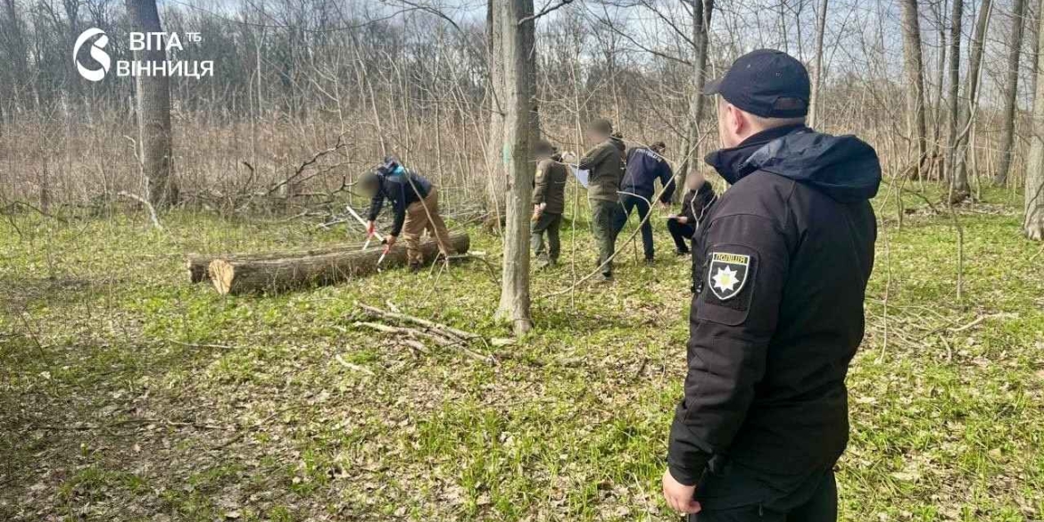 Лісники оглядають зрубані стовбури дубів і ясенів у лісовому масиві на Вінниччині восени