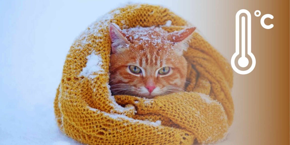 Люті морози вдарять по Вінниччині синоптики визначили де буде найхолодніше