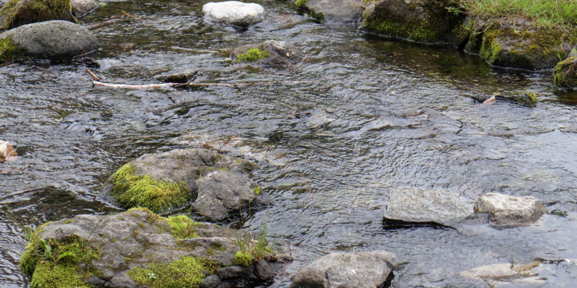 Малі річки Вінниці тепер можна побачити на цифровій мапі