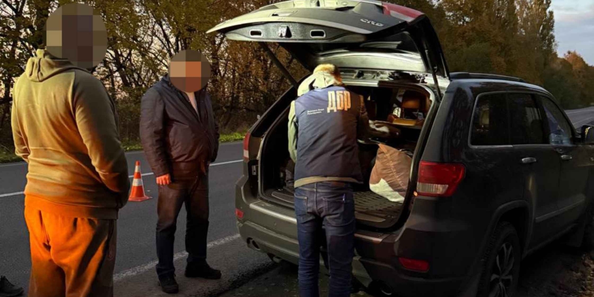 Масштабна схема незаконної вирубки дубів не оминула Вінницьку область