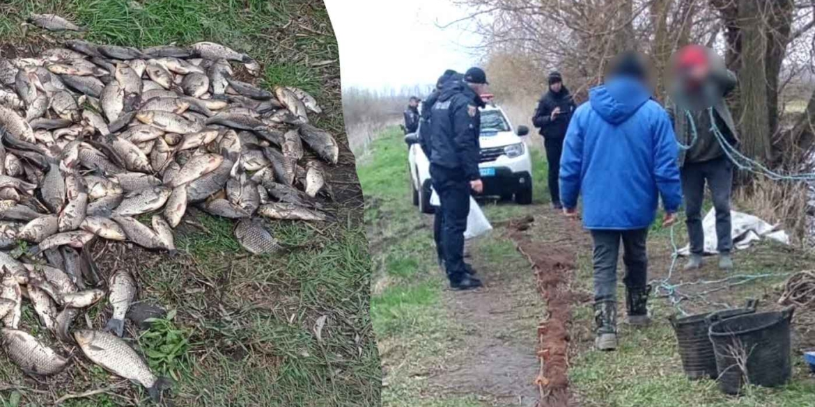 Масштабне браконьєрство на Вінниччині збитки перевищили 7 мільйонів гривень