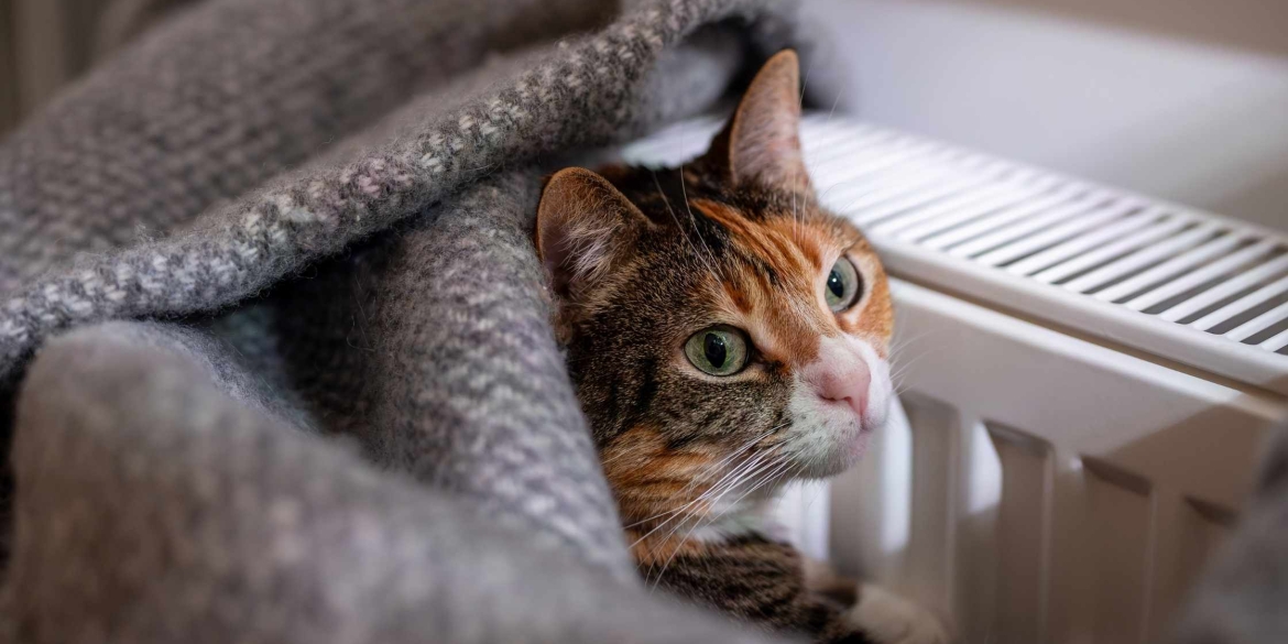 Мешканці 13 будинків Вінниці тимчасово залишаться без опалення