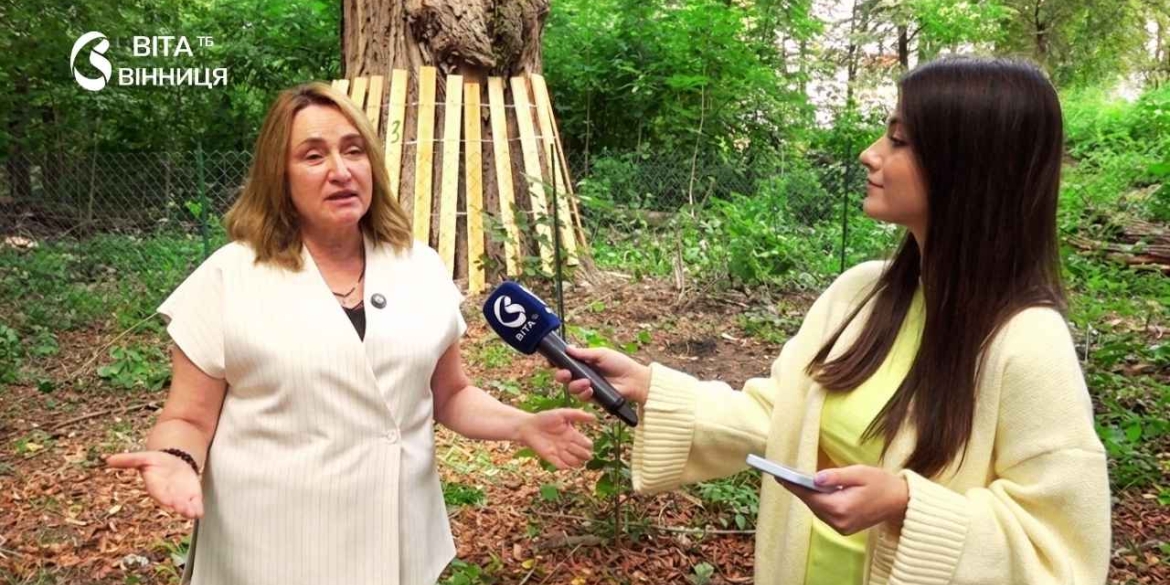 Мешканці вийшли на протест чи вдасться врятувати столітні дерева Вінниці від забудовника