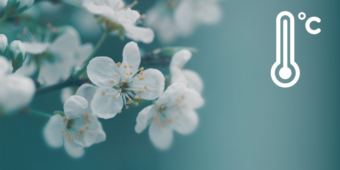 Метеорологи попередили про температурні контрасти на Вінниччині у неділю, 19 квітня