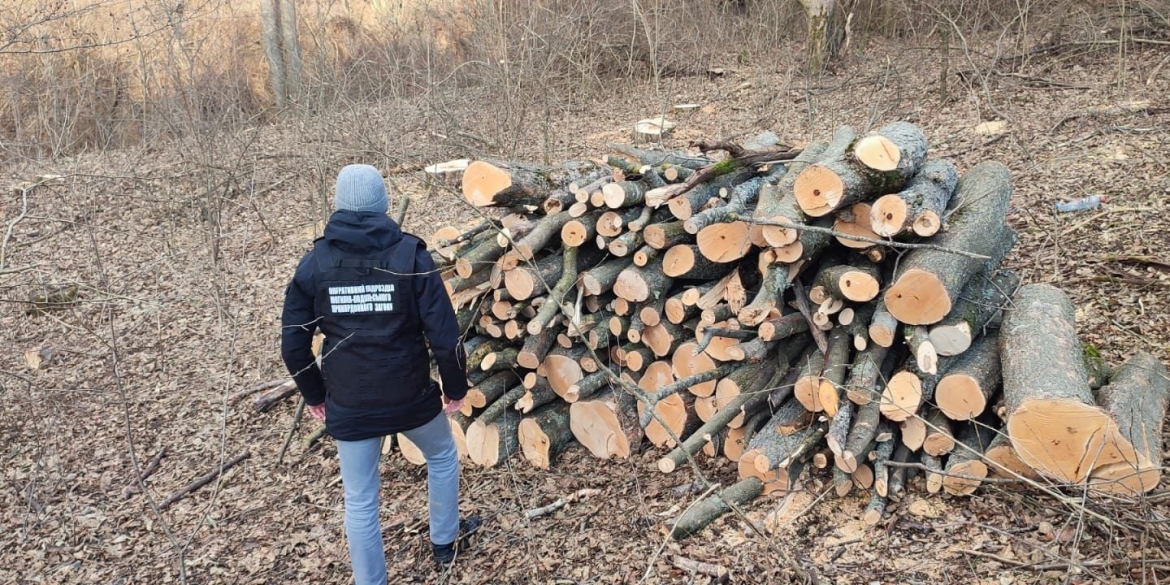 Могилів-Подільські прикордонники виявили незаконну вирубку лісу