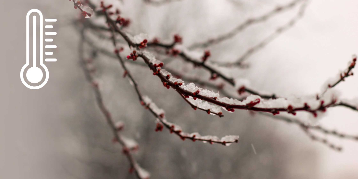 Мокрий сніг та дощ накриють Вінниччину 6 січня