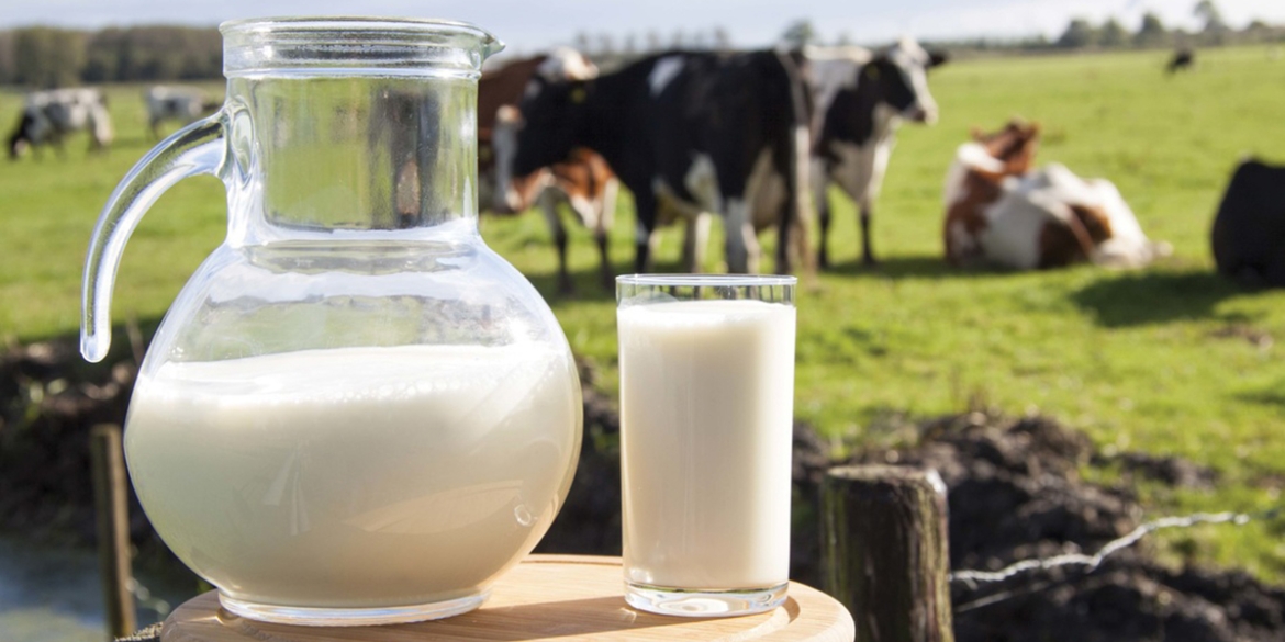 Вінницька область збільшує виробництво молока, але й ціни ростуть
