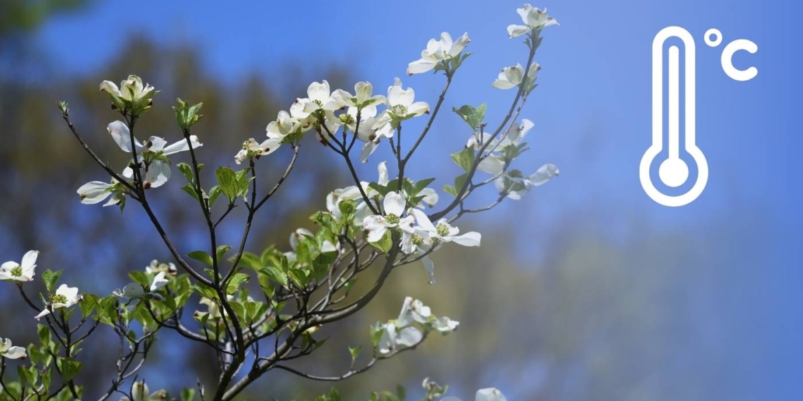Морози продовжують випробовувати Вінницю та область на міцність