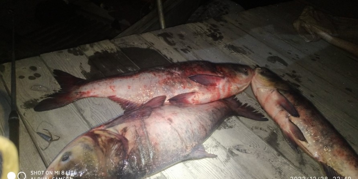 На гарячому спіймали чоловіка, який в Ладижині ловив рибу "драчем"