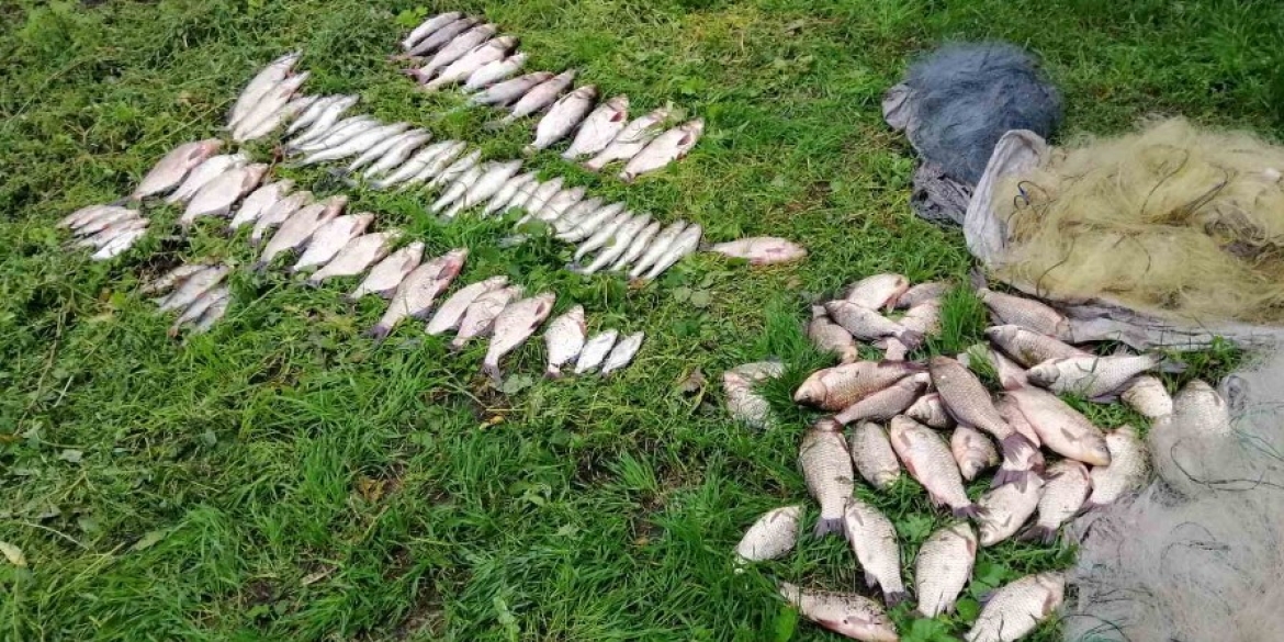 На Гайсинщині чоловік виловив 96 рибин сітками - збитки понад 230 тис. грн