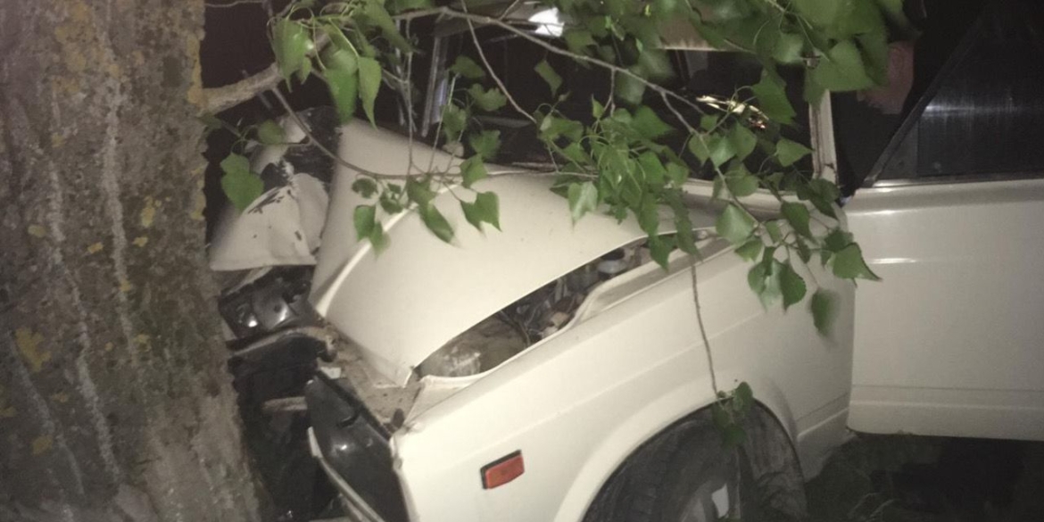 На Гайсинщині ВАЗ влетів у дерево - 26-річна водійка загинула