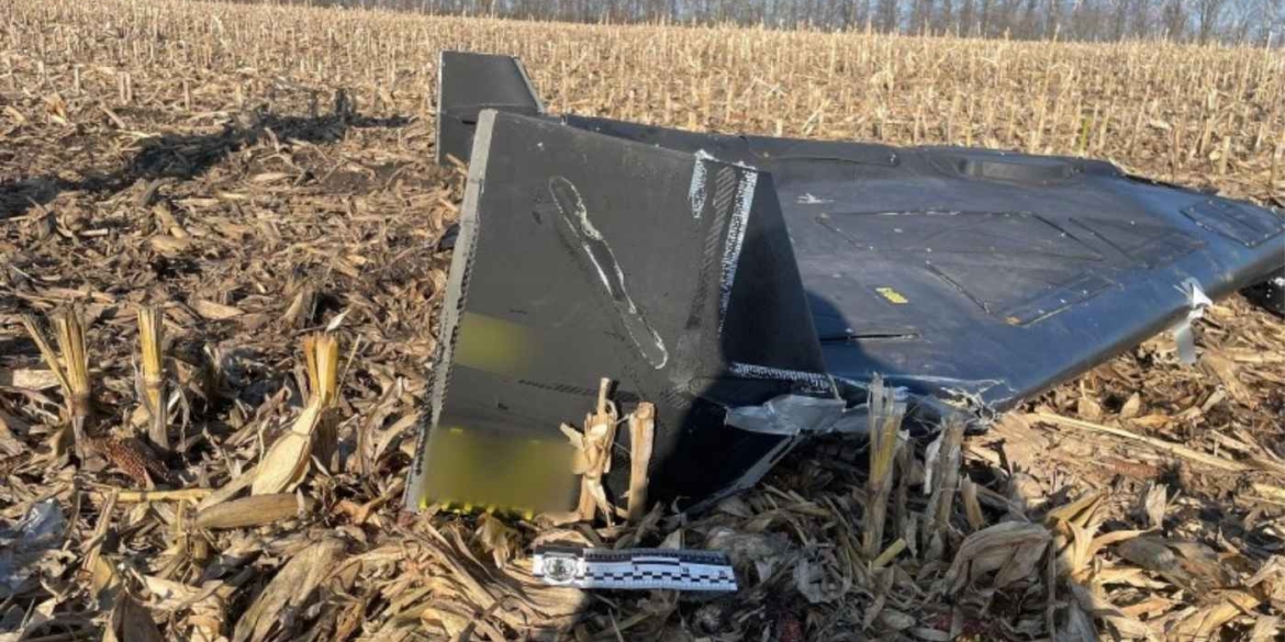 На кукурудзяному полі вінничанин знайшов збитий “шахед”, який не здетонував