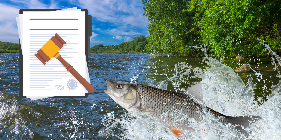 На Ладижинському водосховищі виловили 320 тонн риби, а до місцевого бюджету не сплатили й копійки