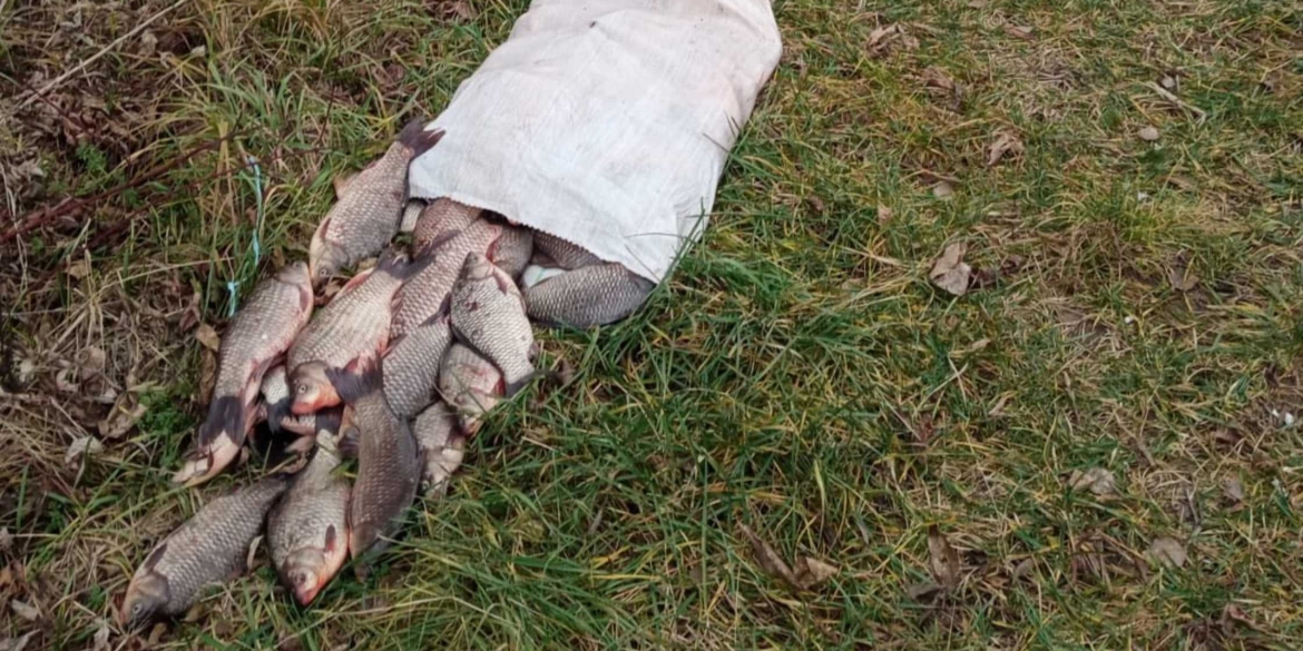 На Південному Бузі браконьєр незаконно виловив майже 30 кілограмів риби