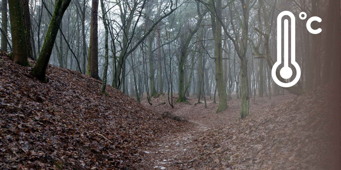 На початку грудня температура на Вінниччині буде здебільшого теплою