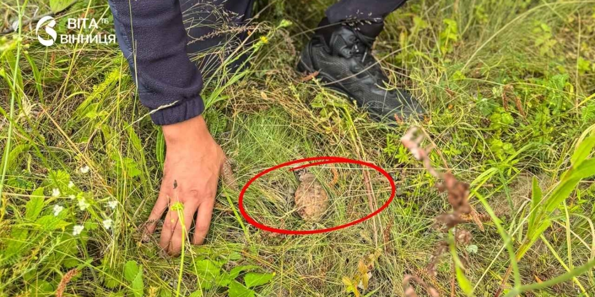 На подвір'ї приватного будинку на Вінниччині знайшли бойову гранату