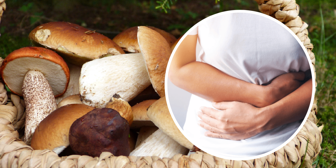 На Вінниччині 14 людей отруїлися грибами - поради, як уникнути небезпеки