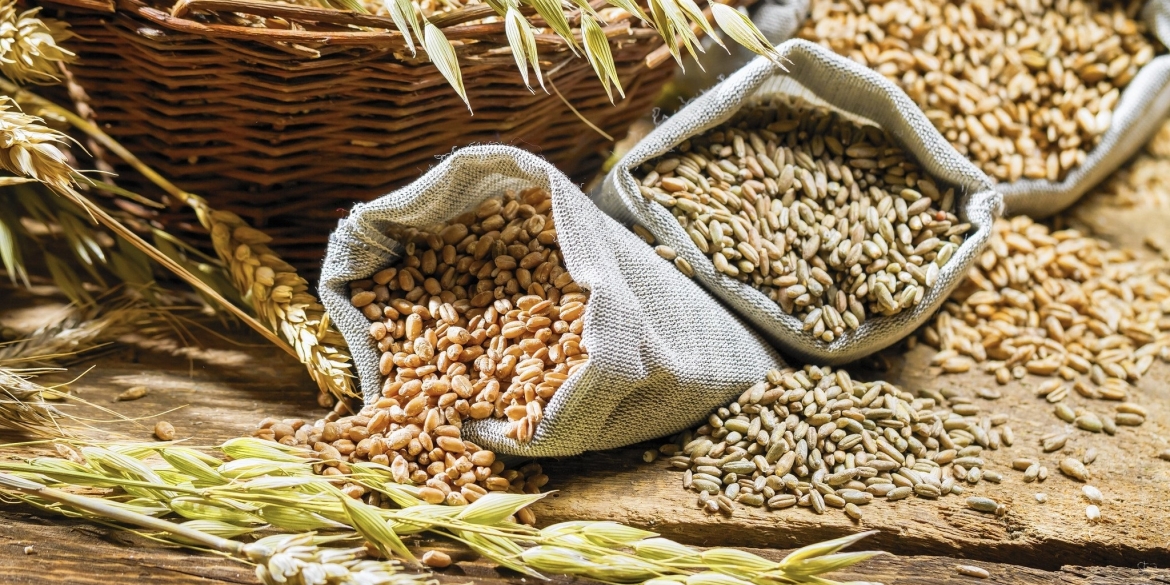 На Вінниччині є запаси зерна десь на чотири роки: чому це мінус, а не плюс