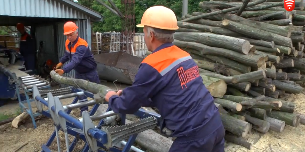 На Вінниччині лісівники заготовляють дрова до опалювального сезону