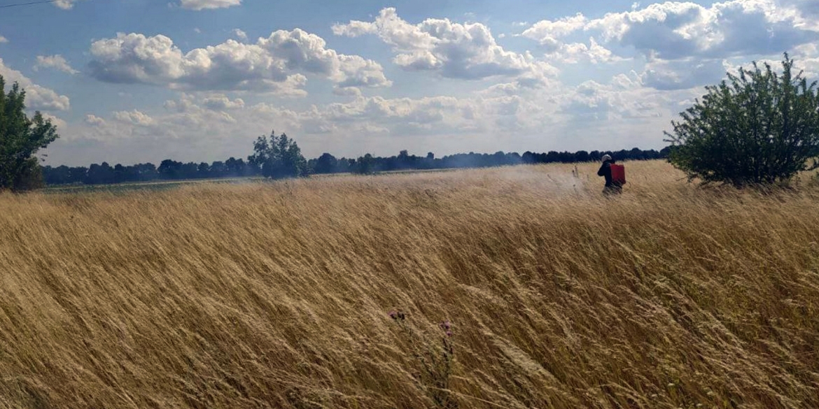 На Вінниччині недбалість призвела до займання посівів пшениці