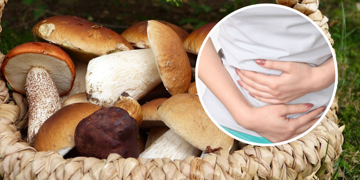 На Вінниччині переселенка отруїлася грибами: людей попереджають про небезпеку