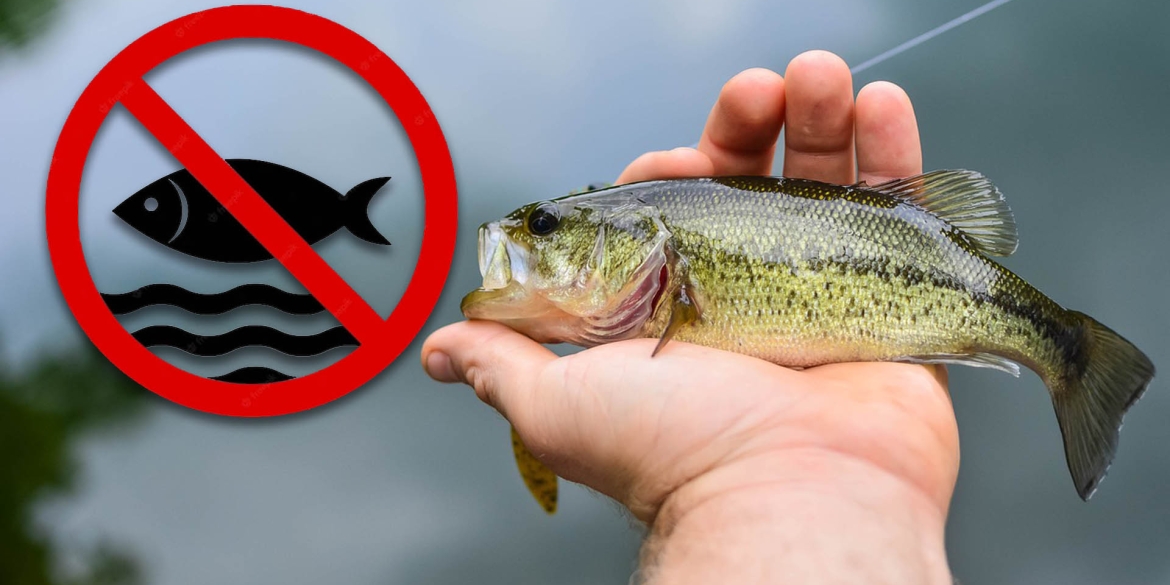 На Вінниччині почне діяти заборона на вилови риби у зимувальних ямах