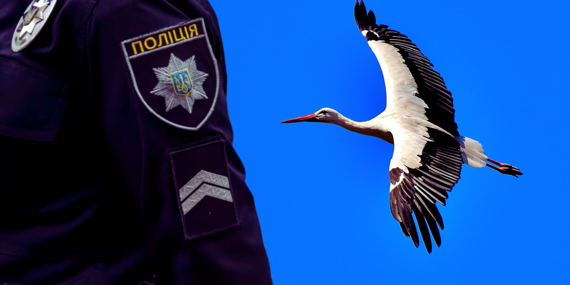 На Вінниччині поліцейський офіцер громади врятував пораненого птаха