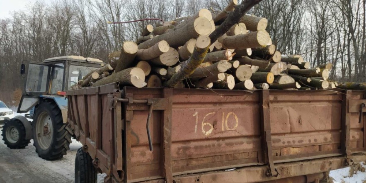 На Вінниччині продовжують незаконно вирубувати дерева штрафи не зупиняють