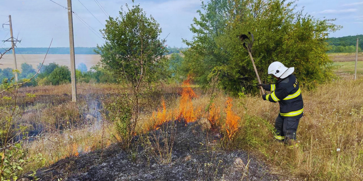 На Вінниччині протягом доби вогонь обпалив п'ять гектарів землі