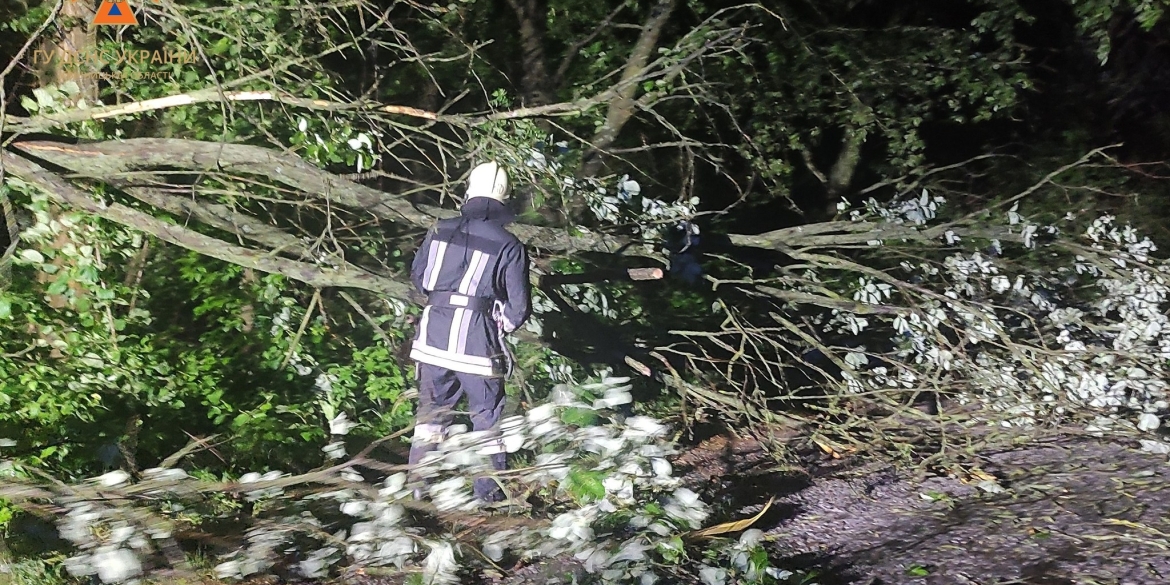На Вінниччині рятувальники двічі за добу прибирали з дороги повалені дерева