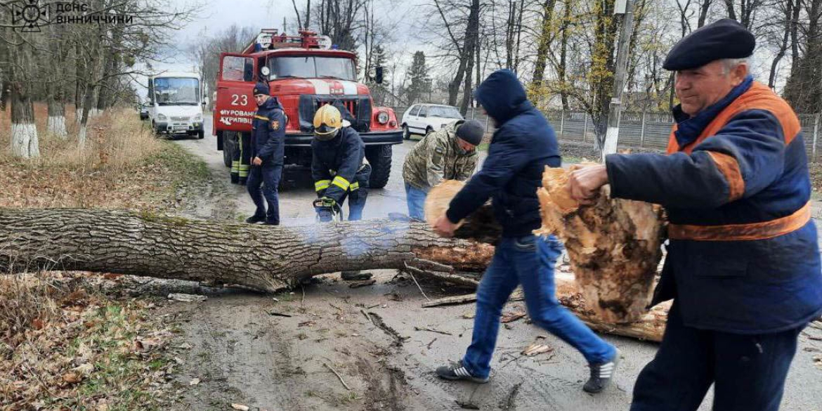 На Вінниччині рятувальники прибрали повалені вітром дерева з автошляхів
