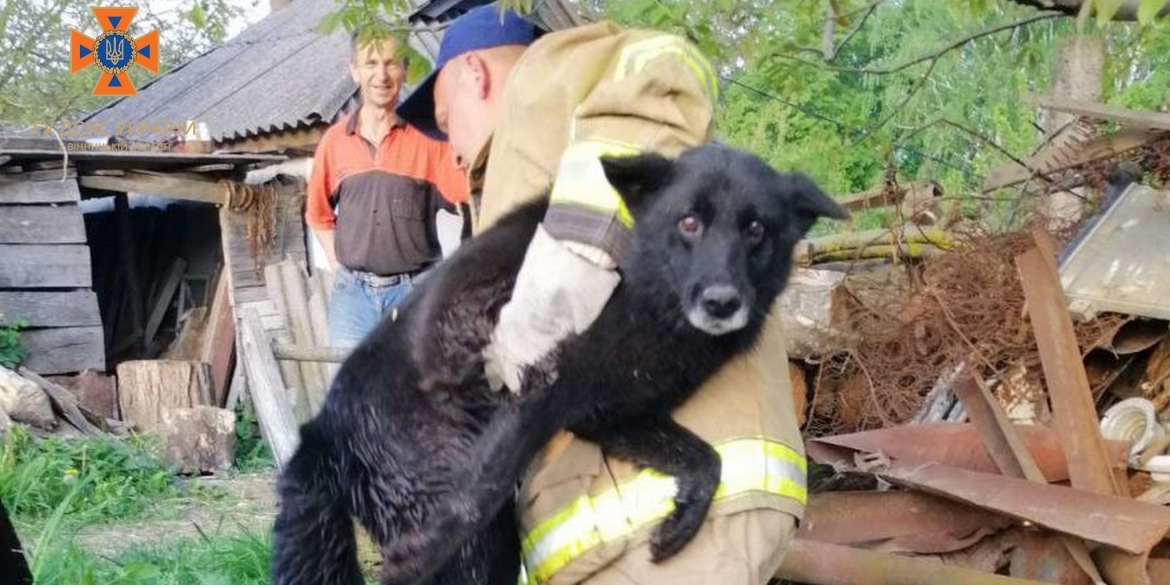 На Вінниччині рятувальники витягли з триметрової ями собаку