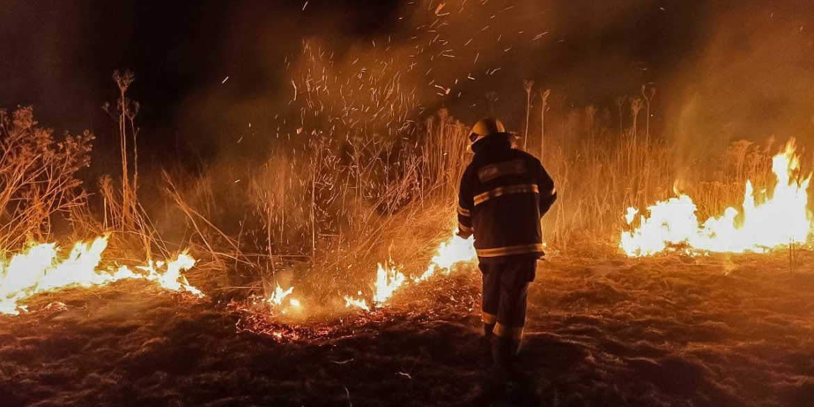 На Вінниччині сталося понад пів сотні пожеж через спалювання трави