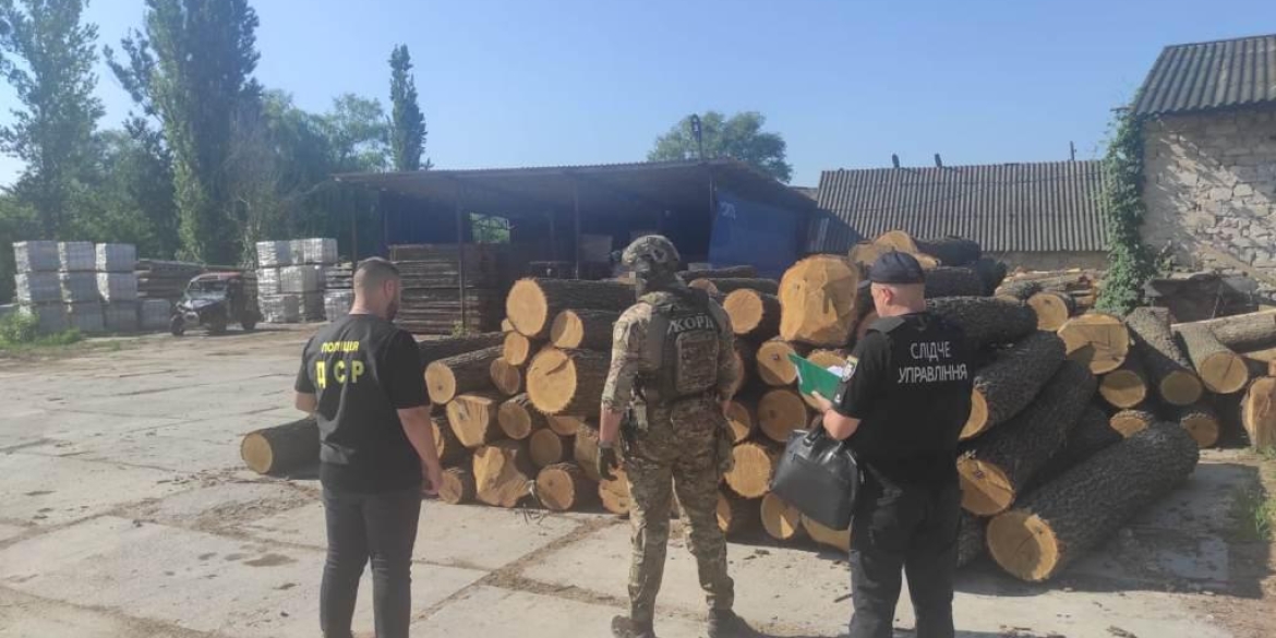 На Вінниччині викрили осіб, які розкрадали та продавали цінну деревину 