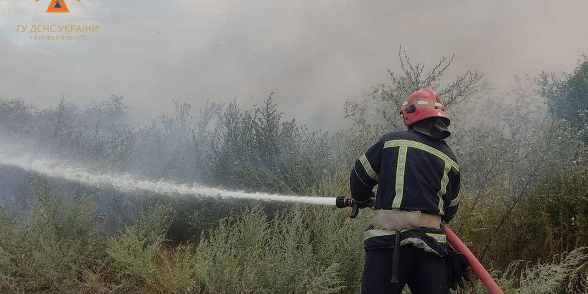 На Вінниччині вогонь обпалив землю більш як на 300 гектарах