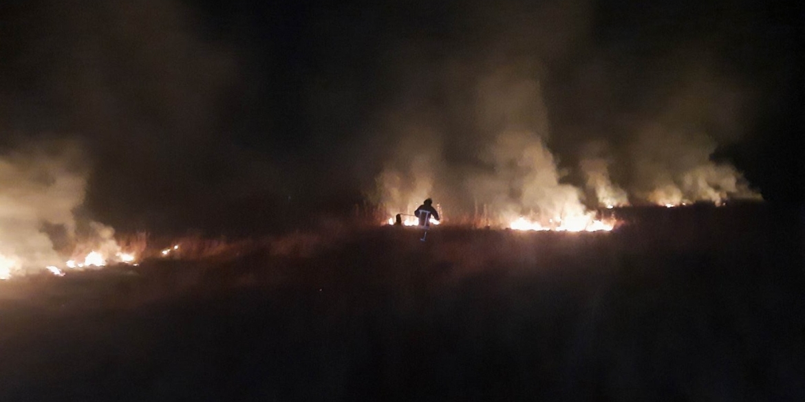 На Вінниччині за добу, 24 жовтня, сталося сім пожеж в екосистемах