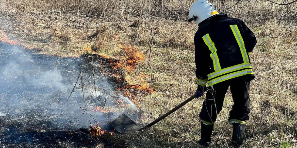 На Вінниччині за добу, 28 березня, сталося 13 пожеж в екосистемах