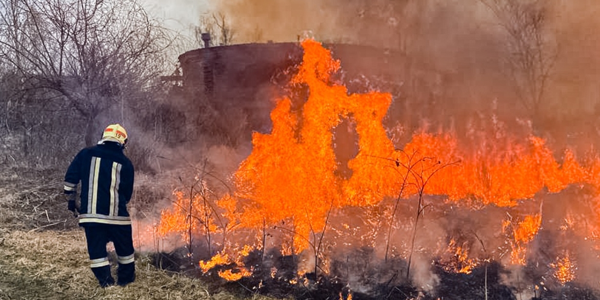 На Вінниччині за добу, 6 червня, сталося вісім пожеж в екосистемах