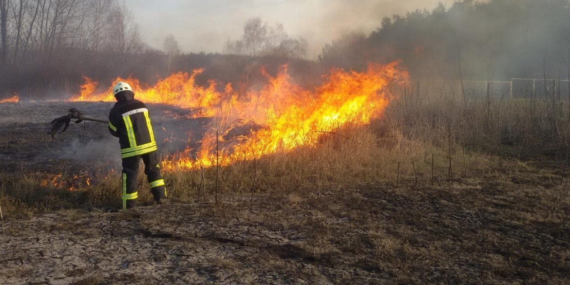 На Вінниччині за добу чотири рази гасили пожежі в екосистемах