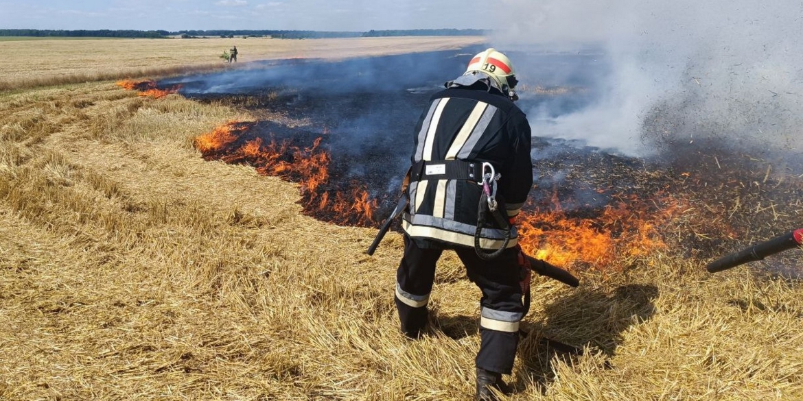 На Вінниччині за добу рятувальники вісім разів гасили пожежі в екосистемах