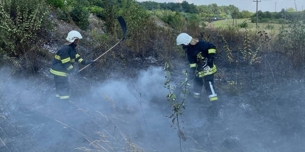 На Вінниччині за два дні сталося 15 пожеж в екосистемах