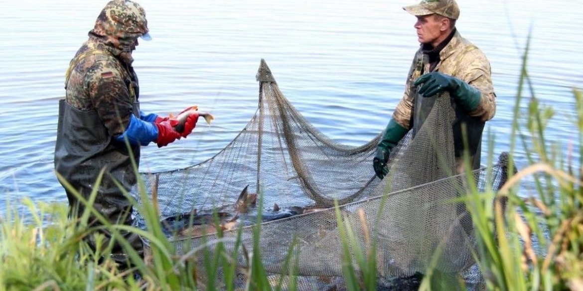 На Вінниччині за тиждень зафіксували 29 порушень правил рибальстваНа Вінниччині за тиждень зафіксували 29 порушень правил рибальства