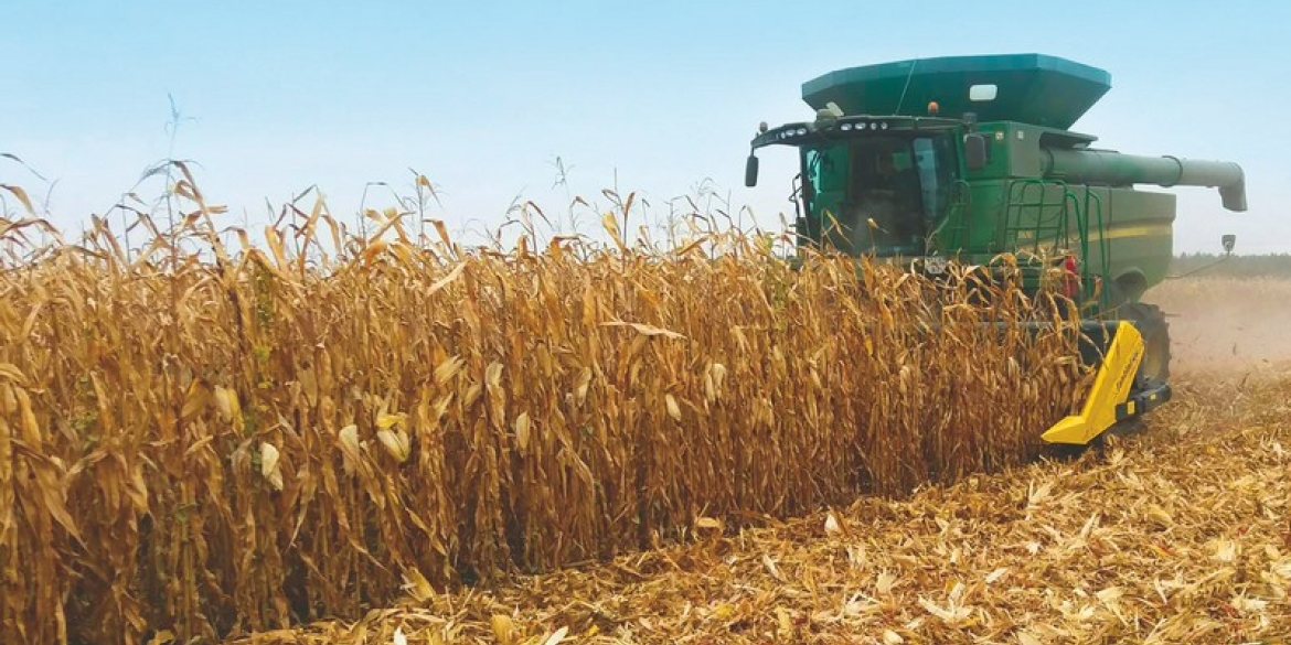 На Вінниччині намолотили більше чотирьох тисяч тонн кукурудзи
