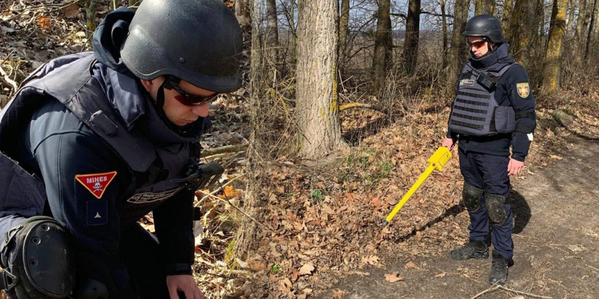 На Вінниччині знайшли артснаряд та ручну протипіхотну гранату