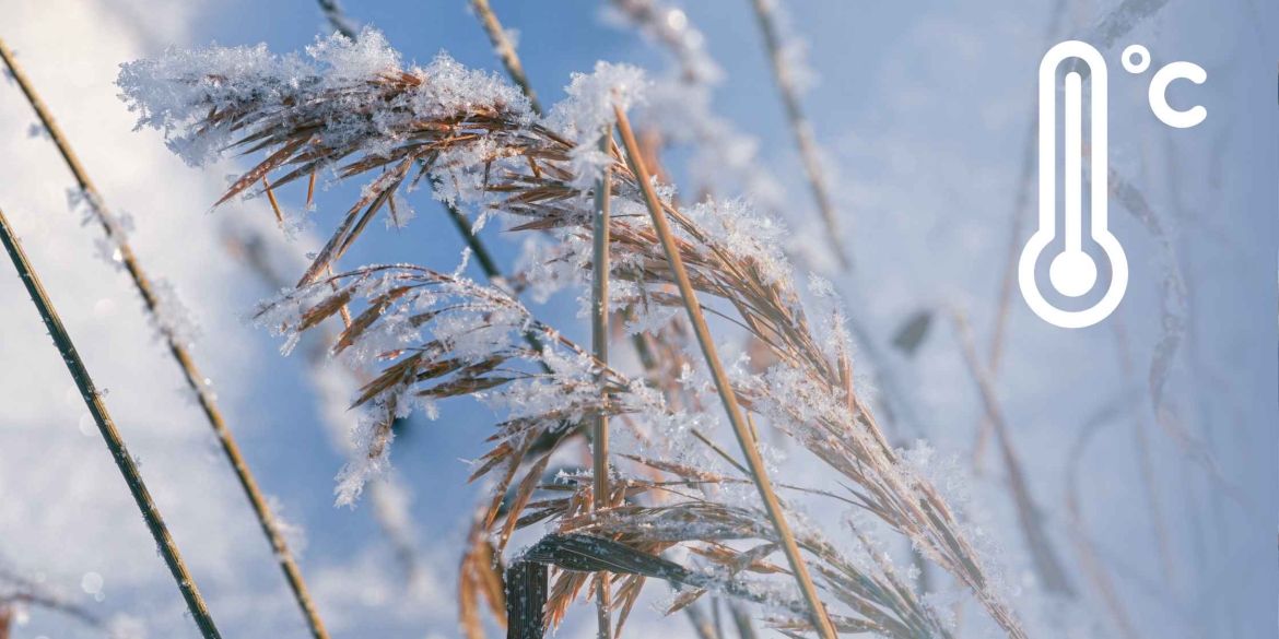 На вінничан чекає морозне Різдво, вдень до 3-5° морозу