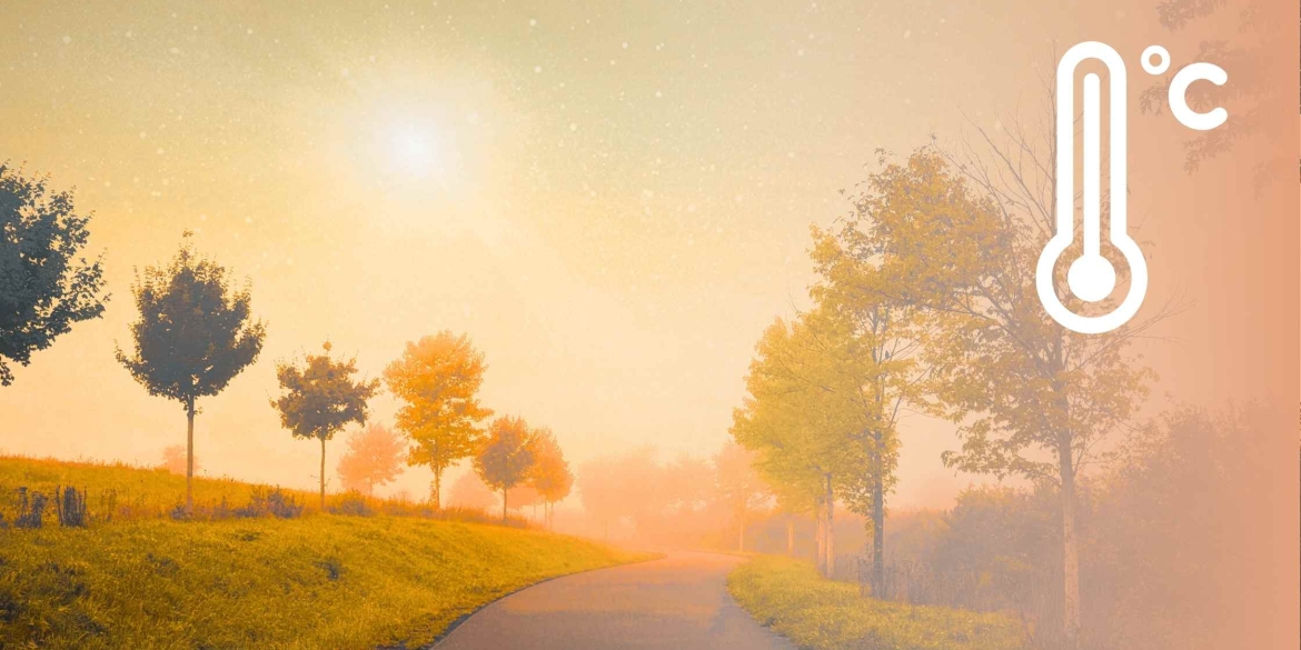 На Вінниччині 14 листопада - тумани, без опадів