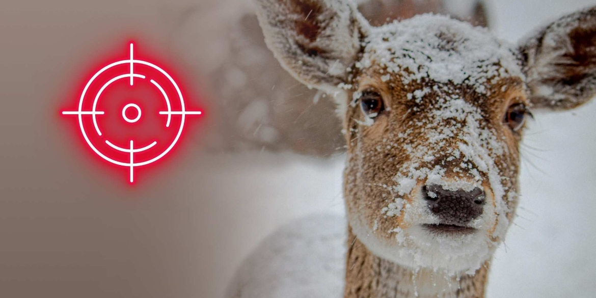 На Вінниччині біля національного природного парку влаштували незаконне полювання