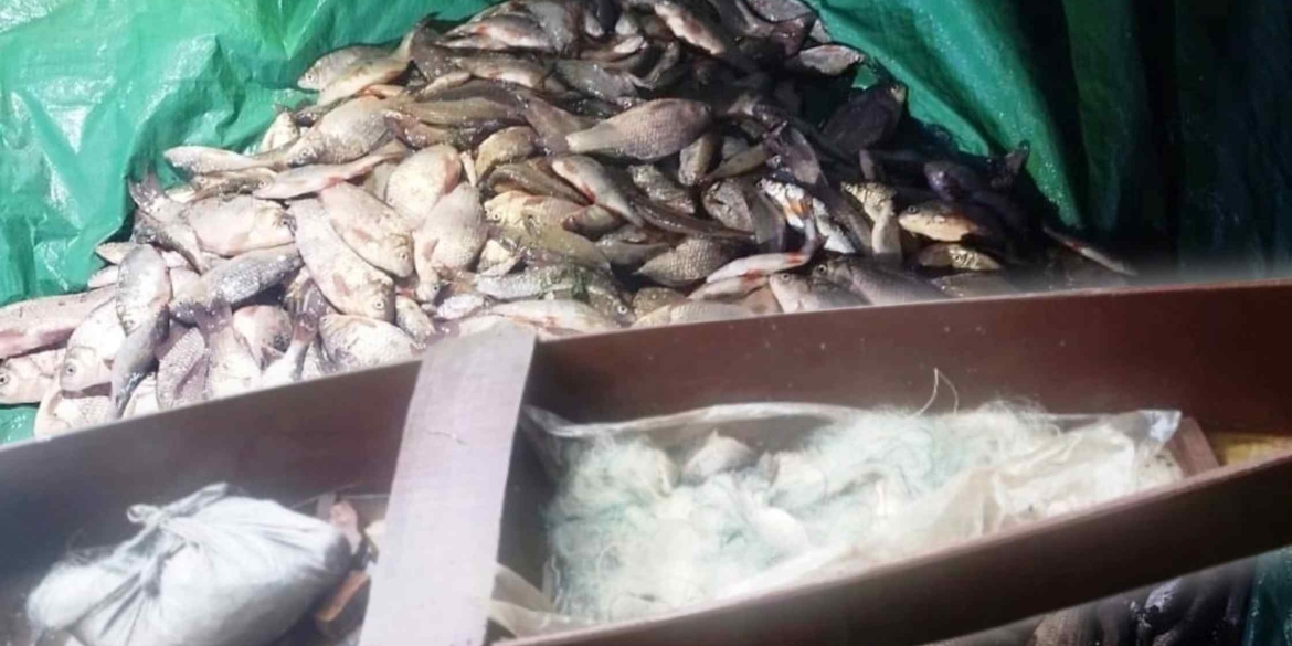 На Вінниччині браконьєри 191 раз порушили нерестову заборону