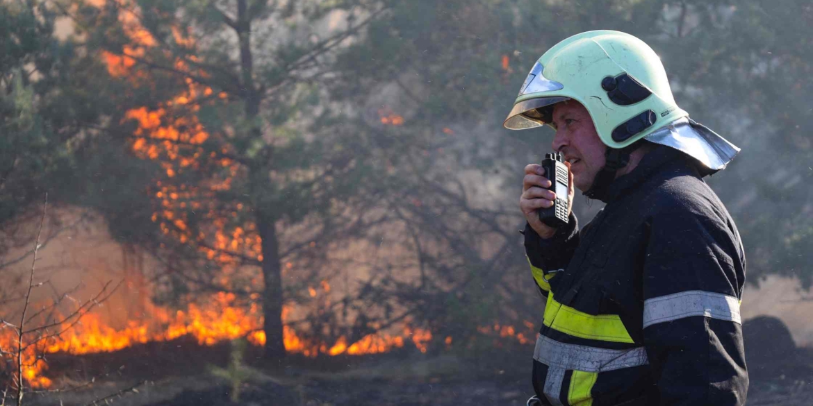 На Вінниччині горіли сосни й господарчі споруди - загорілося на території одразу двох громад